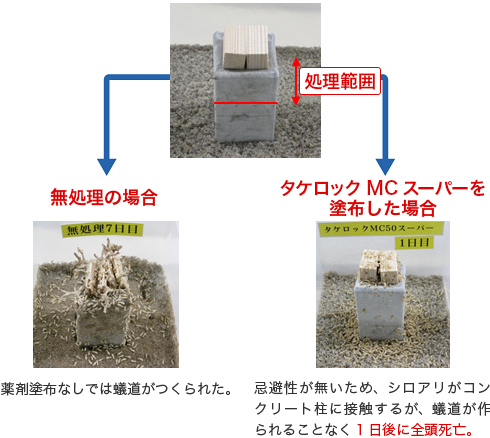 無処理の場合:薬剤塗布なしでは蟻道がつくられた。 タケロックMCスーパーを塗布した場合:忌避性が無いため、シロアリがコンクリート柱に接触するが、蟻道が作られることなく1日後に全頭死亡。