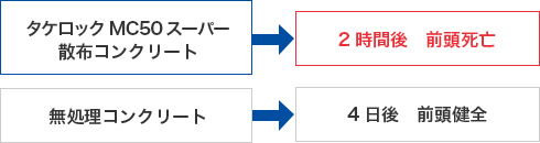 タケロックMC50スーパー散布コンクリート→2時間後　前頭死亡　無処理コンクリート→4日後　前頭健全