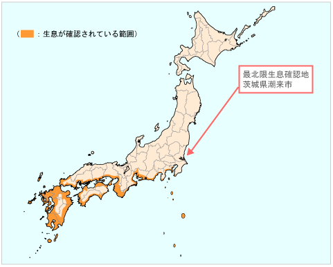 イエシロアリ分布図