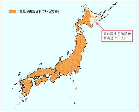 ヤマトシロアリ分布図