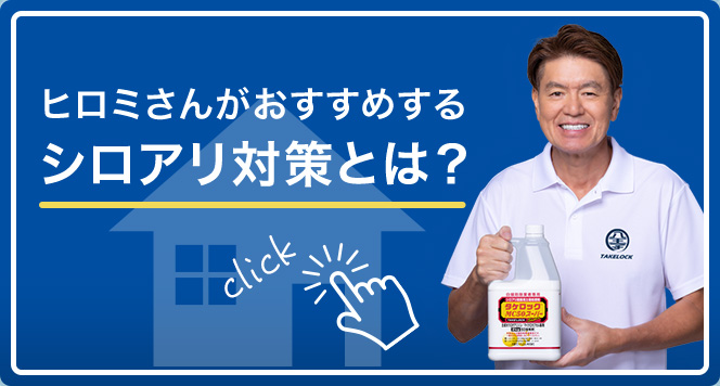 ヒロミさんがおすすめするシロアリ対策とは？