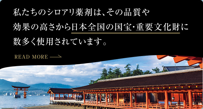 国宝・重要文化財 実績No.1 私たちのシロアリ薬剤は、その品質や効果の高さから日本全国の国宝・重要文化財に数多く使用されています。