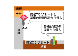 防湿コンクリートの場合