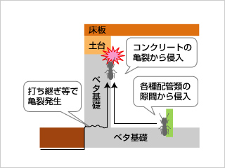 ベタ基礎の場合